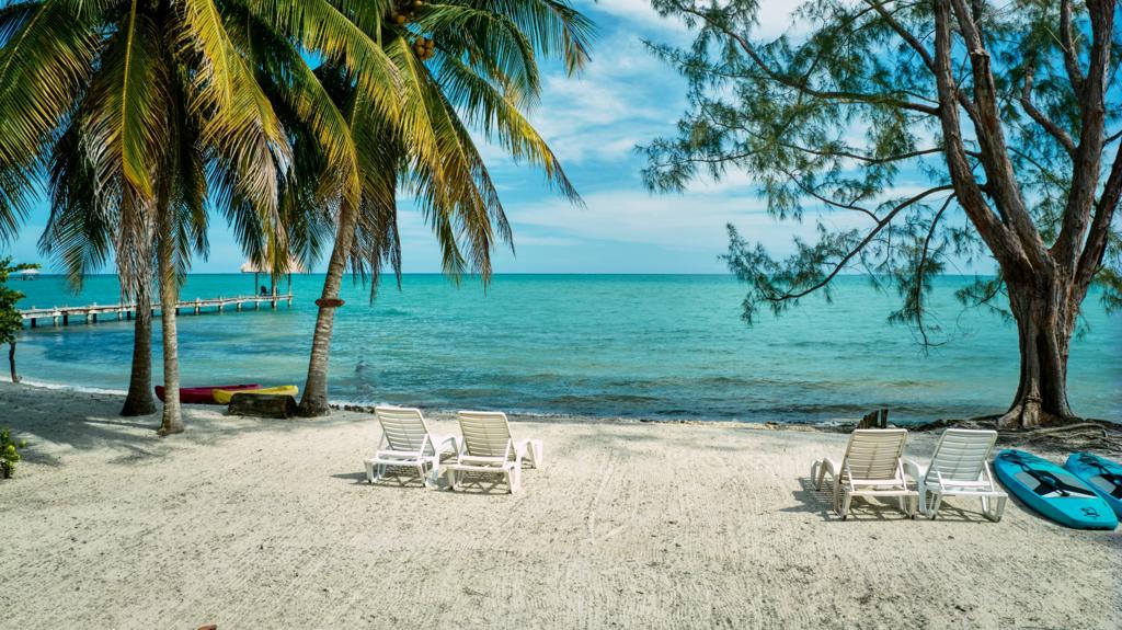 listing image with ID 72707