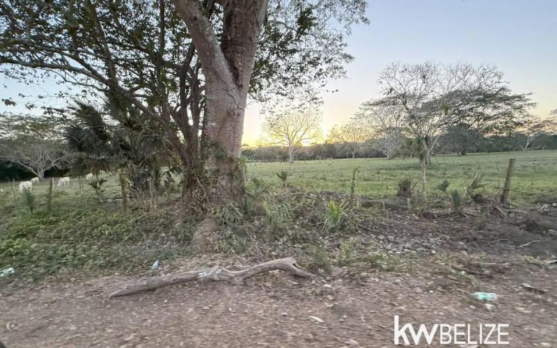 listing image with ID 72109