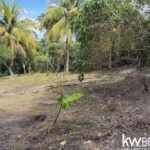 listing image thumbnail with ID 72013