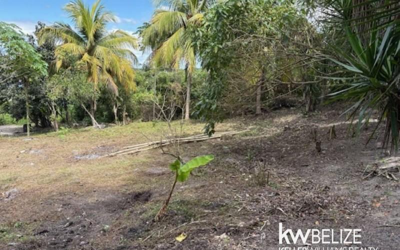 listing image with ID 72013