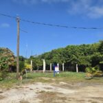 listing image thumbnail with ID 71989