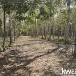 listing image thumbnail with ID 71782