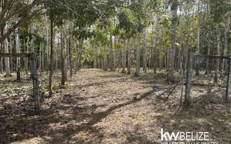 listing image with ID 71782