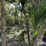 listing image thumbnail with ID 71776