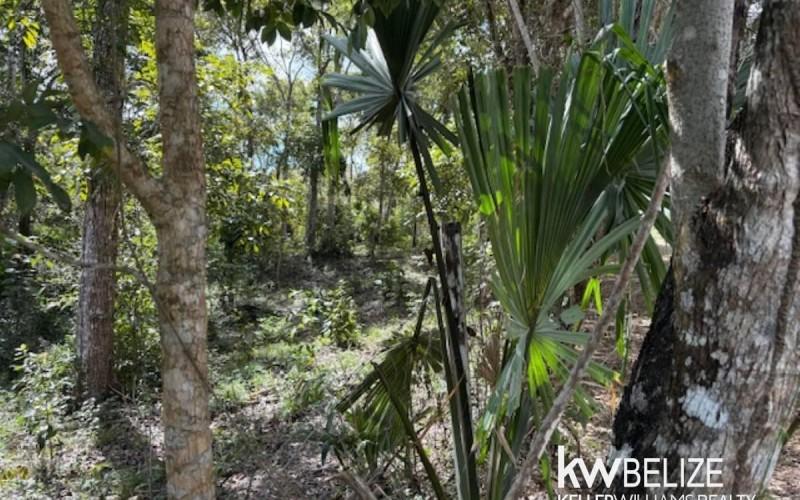 listing image with ID 71776