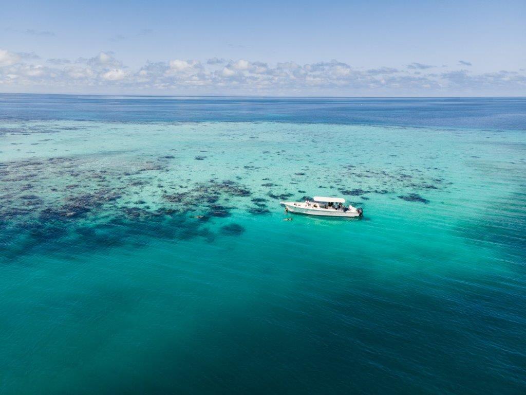 listing image with ID 71423