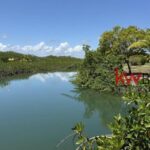 listing image thumbnail with ID 72297