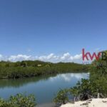 listing image thumbnail with ID 72289