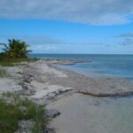 listing image thumbnail with ID 71226