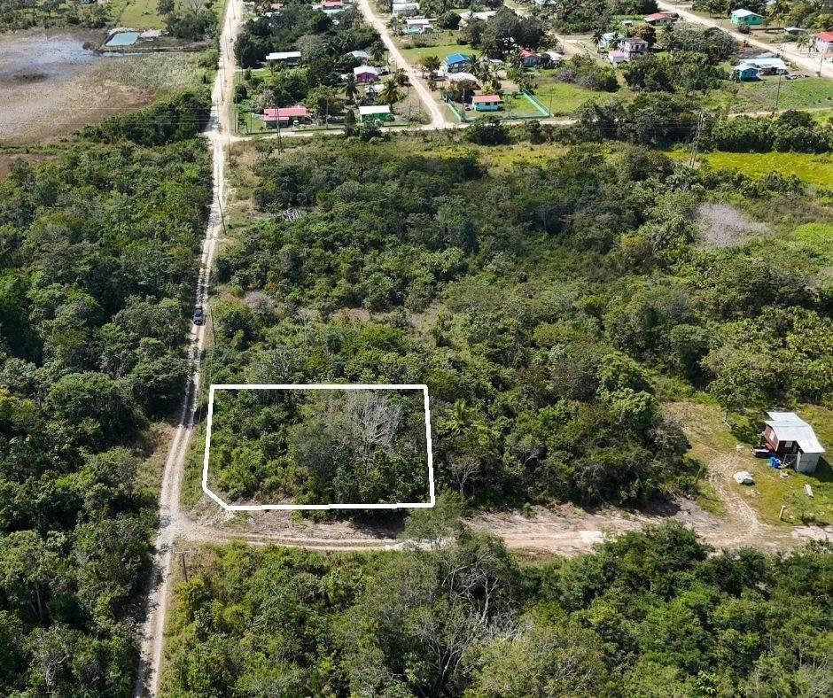 listing image with ID 71255