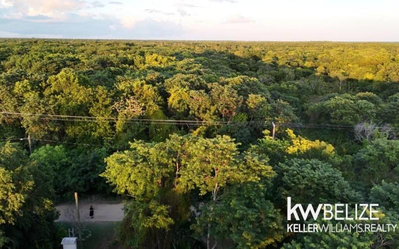 listing image with ID 71596