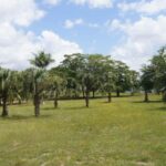 listing image thumbnail with ID 72281