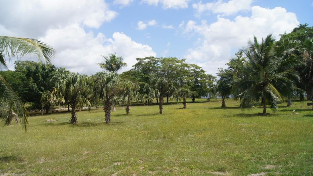 listing image with ID 72281