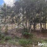 listing image thumbnail with ID 71784