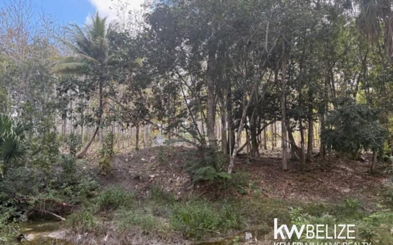 listing image with ID 71784