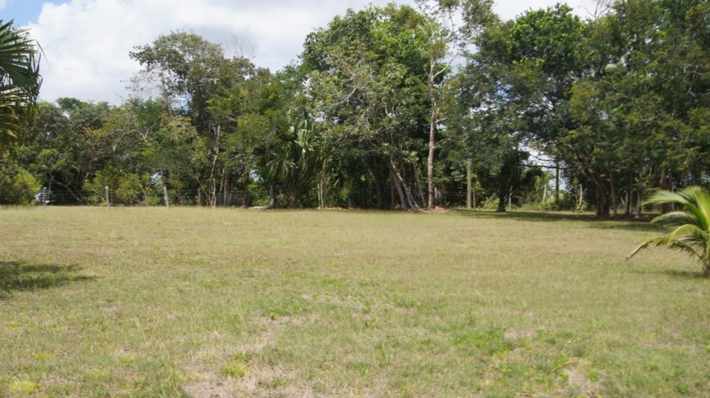 listing image with ID 72279