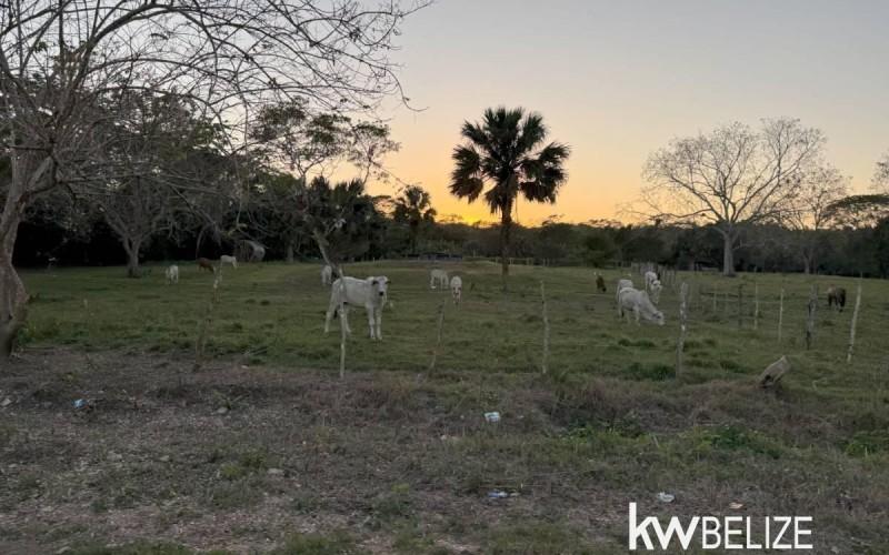 listing image with ID 72107