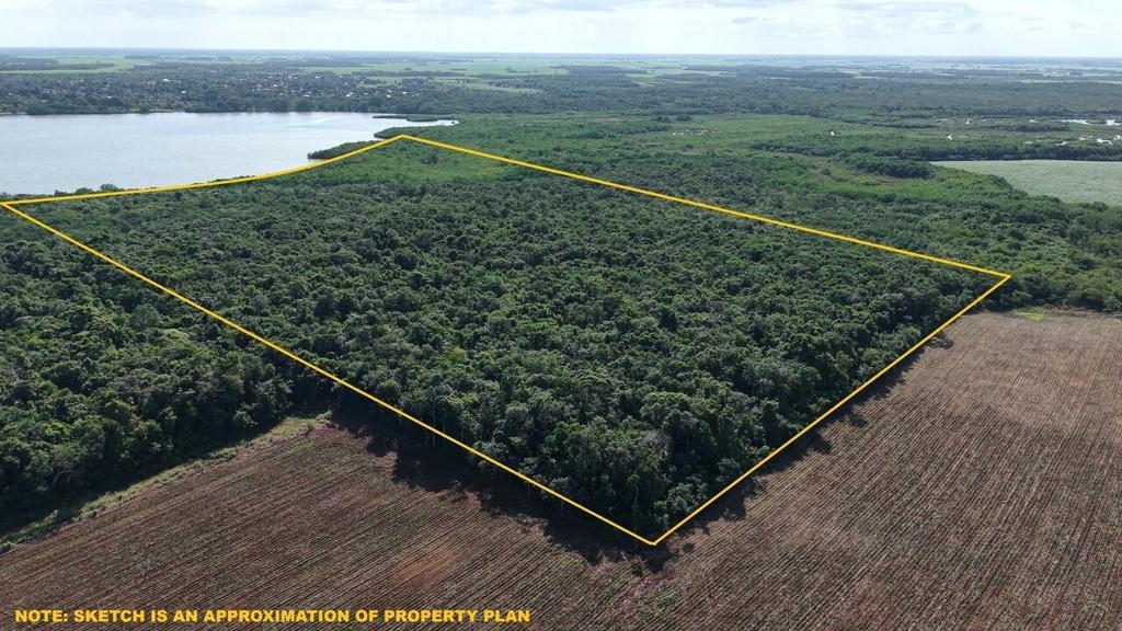 listing image with ID 72309