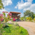 listing image thumbnail with ID 72321