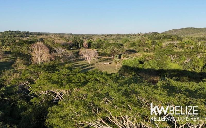 listing image with ID 72100