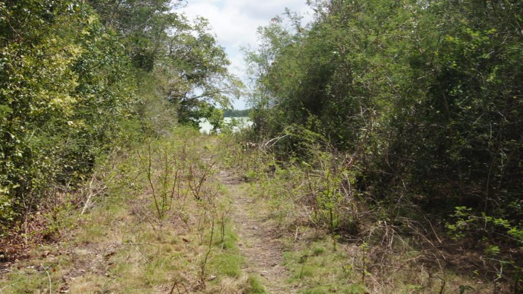 listing image with ID 72315