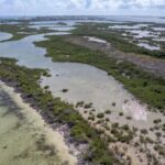 listing image thumbnail with ID 72179