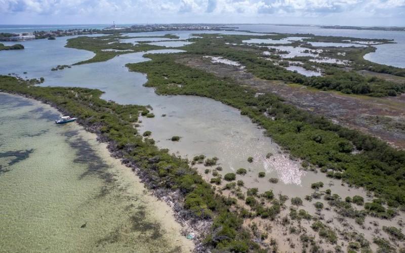 listing image with ID 72179