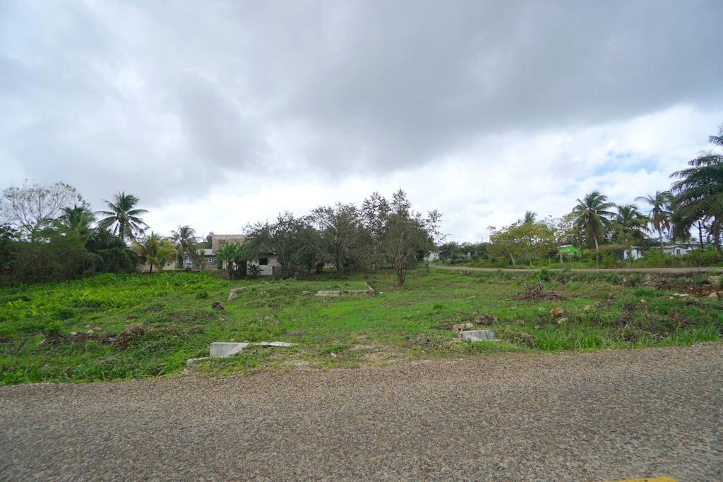 listing image with ID 72242