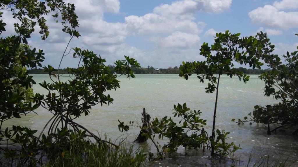 listing image with ID 72313