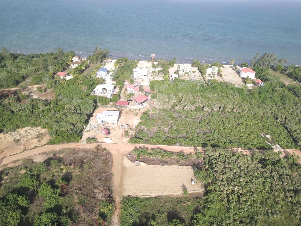 listing image with ID 71432