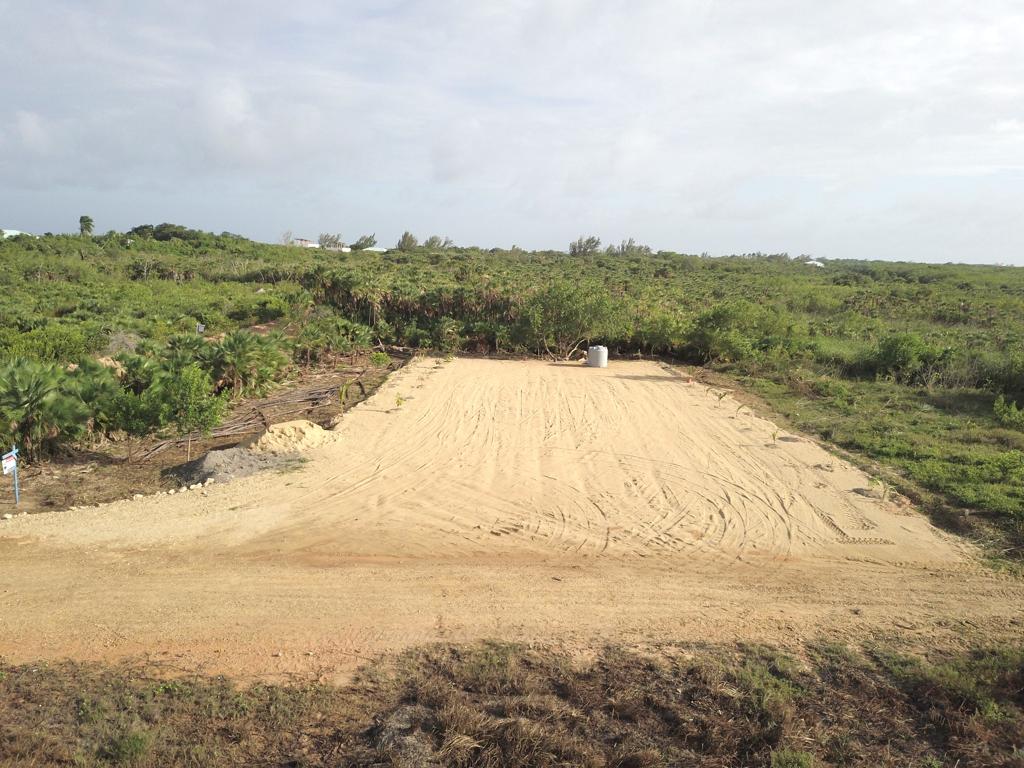 listing image with ID 71438