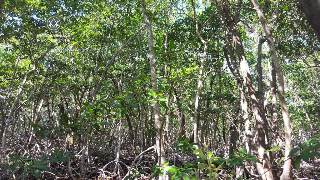 listing image with ID 71684