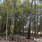 listing image thumbnail with ID 71788