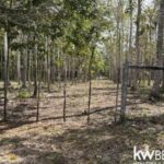 listing image thumbnail with ID 71781