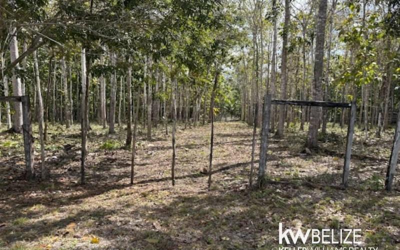 listing image with ID 71781