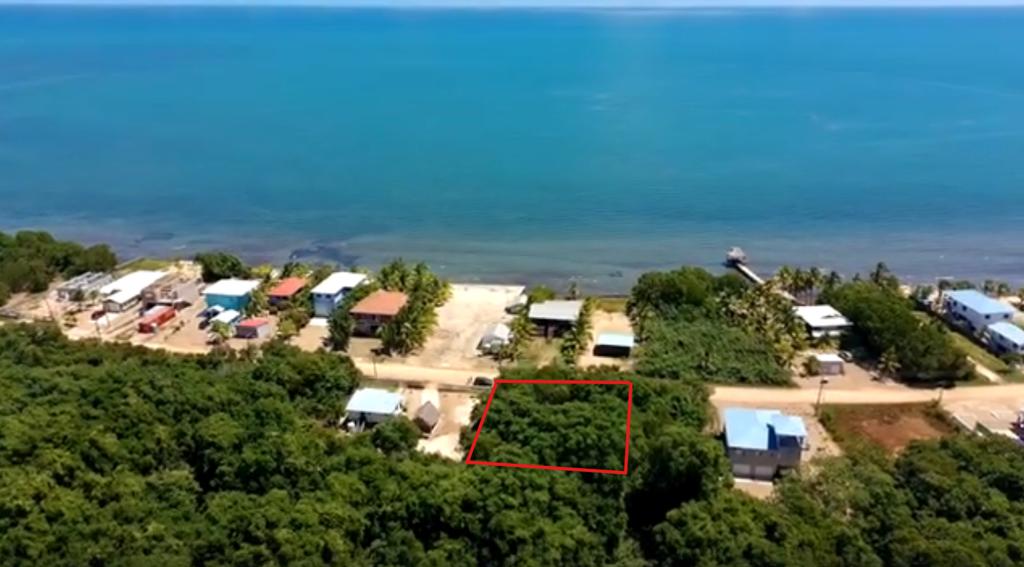 listing image with ID 72227