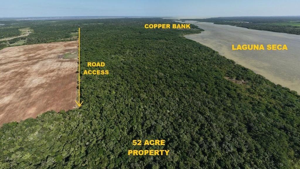 listing image with ID 72310