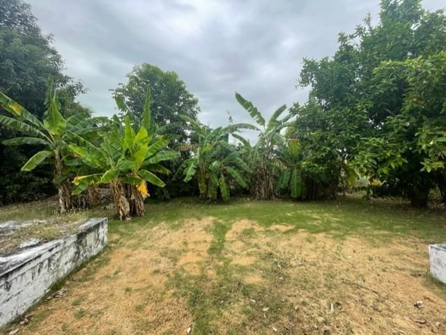 listing image with ID 71214