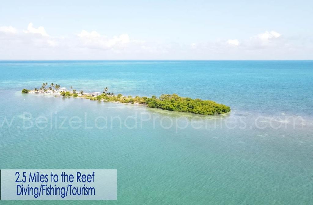 listing image with ID 72031