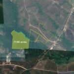 listing image thumbnail with ID 72693