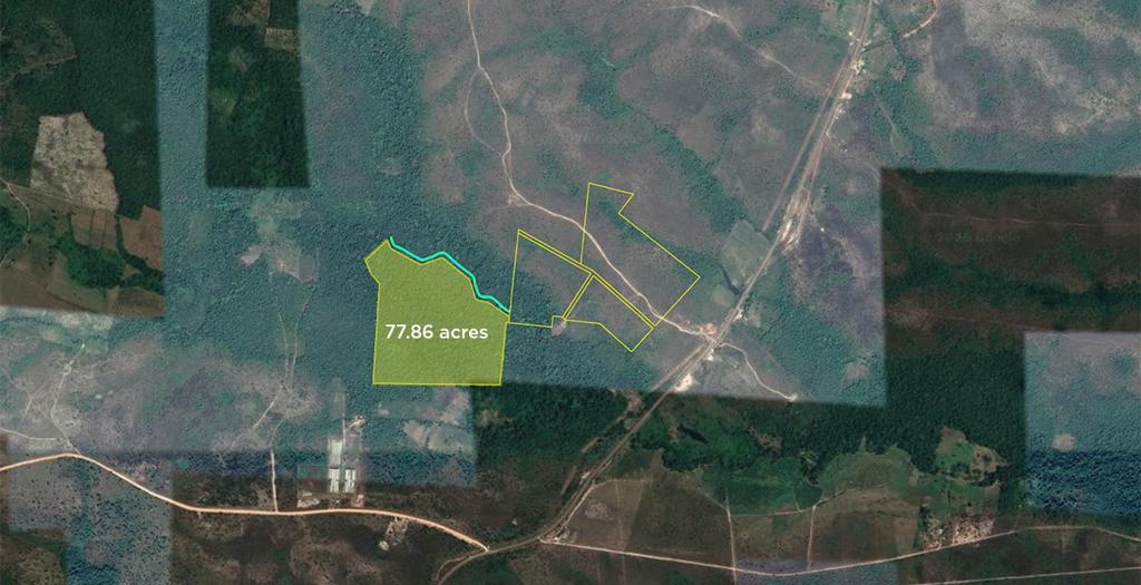 listing image with ID 72693