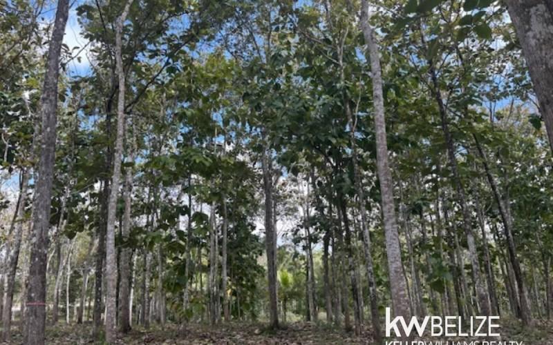 listing image with ID 71787