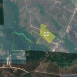 listing image thumbnail with ID 72680