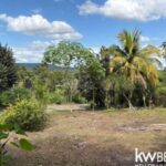 listing image thumbnail with ID 72012