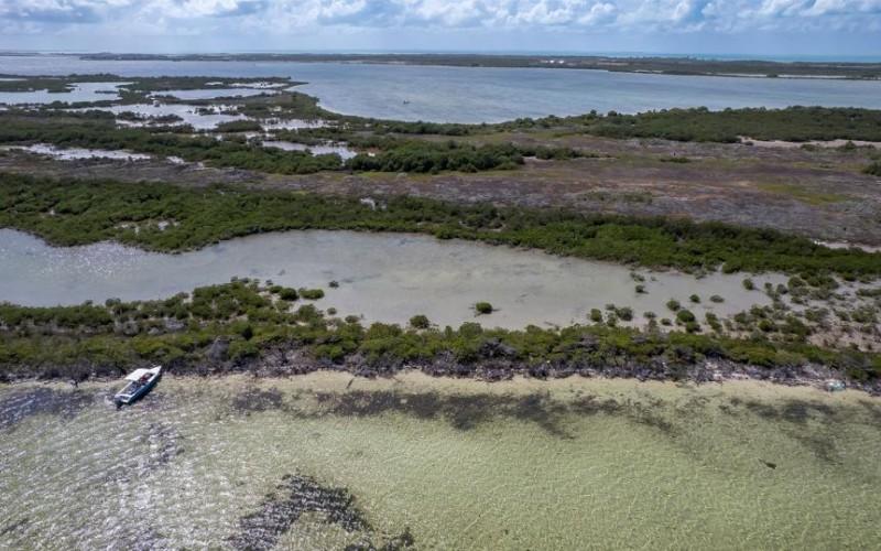 listing image with ID 72224