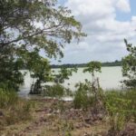 listing image thumbnail with ID 72314