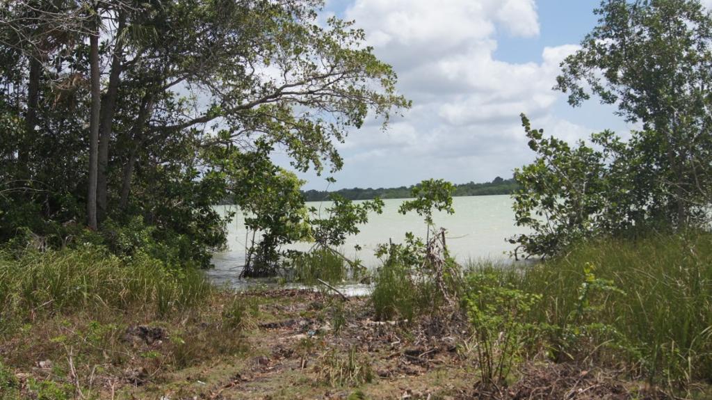 listing image with ID 72314