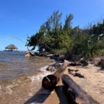 listing image thumbnail with ID 71247