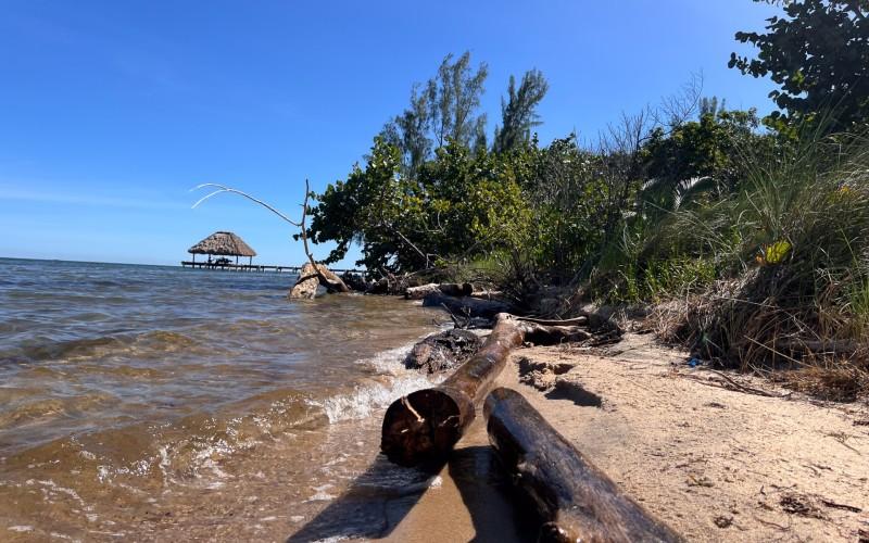 listing image with ID 71247