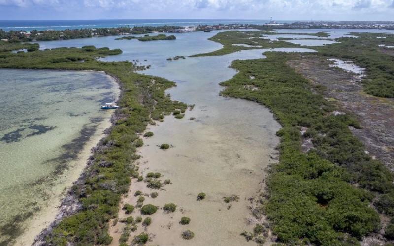 listing image with ID 72223